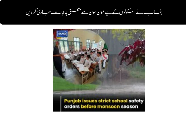 Punjab Issues Monsoon Advisory for Schools Ahead of Rainy Season punjab issues monsoon advisory for schools ahead of rainy season